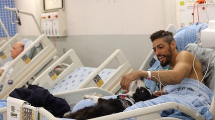 Un paciente internado en el hospital Ichilov permanece acompañado por su perro en una de las salas adaptadas durante la emergencia en Tel Aviv