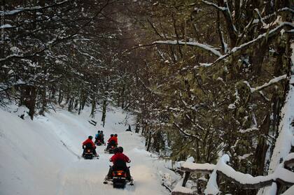 Un paisaje de lengas nevadas acompaña en la subida hasta los 1300 metros donde está El Refugio