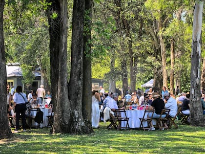 Un par de fotos tomadas con un Huawei Pura 80 Ultra