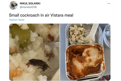 Un pasajero aseguró que encontró una cucaracha en su comida, pero la aerolínea dio una explicación