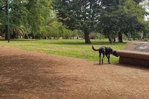 Un paseador de perros encontró el cuerpo apuñalado de un hombre