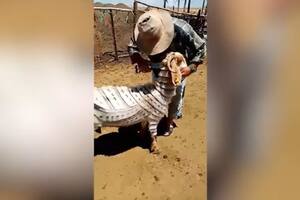 Un pastor de un pueblo de Turquía se hace famoso por realizar asombrosos cortes de pelo a sus cabras