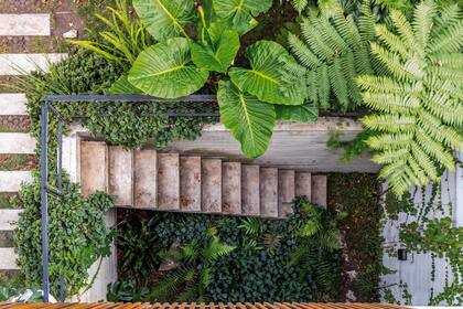 Un patio entre medianeras se puede convertir en un oasis verde si se eligen las especies adecuadas