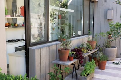 Un patio interno, donde predominan las macetas con suculentas.