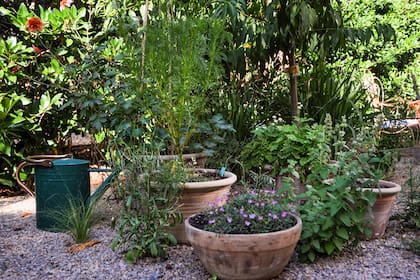 Un patio sin verde puede convertirse en un jardín con encanto