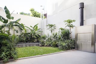 Bajo Belgrano: un patio en planta baja que es una mini selva entre medianeras