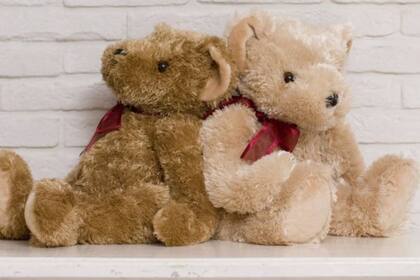 Un peluche es un buen regalo del Día de Niño para los taurinos
