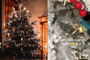 Vio algo extraño en el árbol de Navidad y al acercar la cámara quedó horrorizada