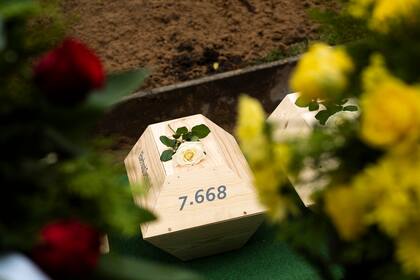 Un pequeño cofre con restos de un soldado alemán caído, decorado con una rosa blanca, durante un funeral en un sitio conmemorativo para soldados, en Wuhden, Alemania