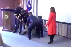 Un perro antidrogas se abalanzó sobre el bolsillo de un vicealmirante durante una ceremonia de la Armada