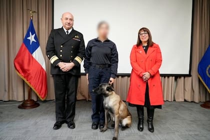 Uno de los perros se lanzó repentinamente sobre el vicealmirante Arturo Oxley, director general del Territorio Marítimo y de Marina Mercante (Directemar)