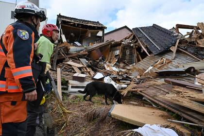 Un perro de rescate junto a los bomberos buscan personas entre los escombros de una casa derrumbada en la ciudad de Wajima.