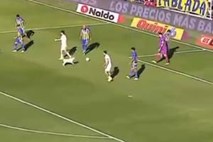 Un perro interrumpió el partido entre Rosario Central y Tigre