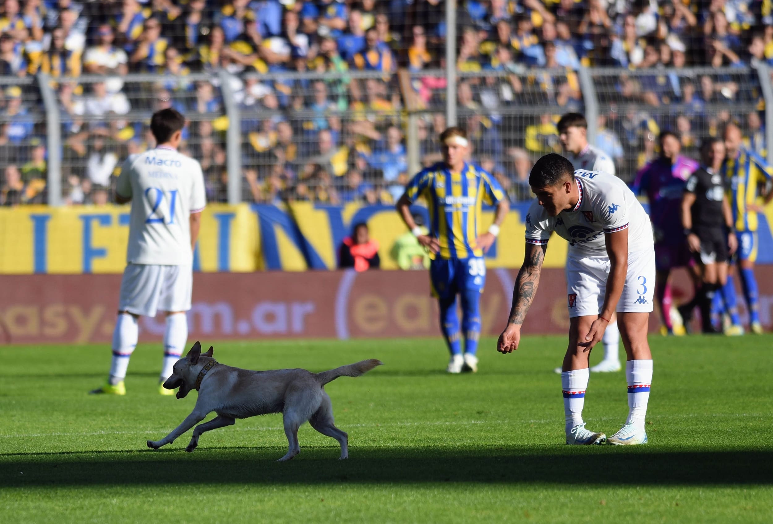 Godoy Cruz y Deportivo Morón empatan 2-2 en un duelo clave de la Primera Nacional — image 6