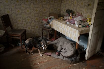 Un perro junto al cuerpo de una anciana asesinada dentro de una casa en Bucha, en las afueras de Kiev