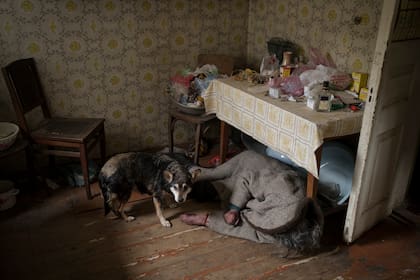 Un perro junto al cuerpo de una anciana asesinada dentro de una casa en Bucha, en las afueras de Kiev.