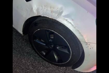 Un perro mordió un auto y causó importantes destrozos (Captura video)