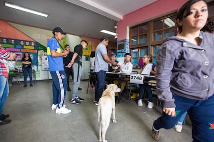 Un perro pasea por una escuela del Barrio Virrey del Pino de La Matanza