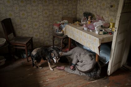 Un perro permanece al lado del cadáver de una anciana en su casa en Bucha, en las afueras de Kiev, Ucrania, el 5 de abril de 2022. 