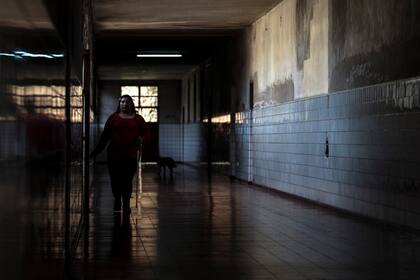 Un perro que transita por los pasillos, algo común