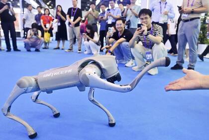 Un perro robot interactúa con un visitante en el Centro Internacional de Convenciones y Exposiciones de Nanning, en Nanning, capital de la región autónoma de la etnia zhuang de Guangxi, en el sur de China