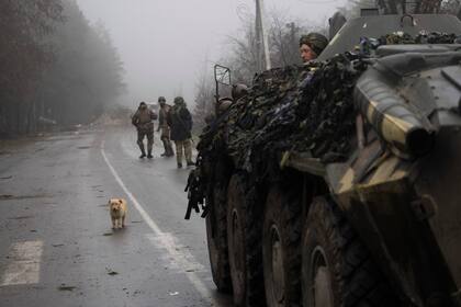 Un perro se ve en medio de una calle mientras los soldados del ejército ucraniano participan en una redada militar para buscar  tropas rusas después de su retirada de las aldeas en las afueras de Kiev, Ucrania