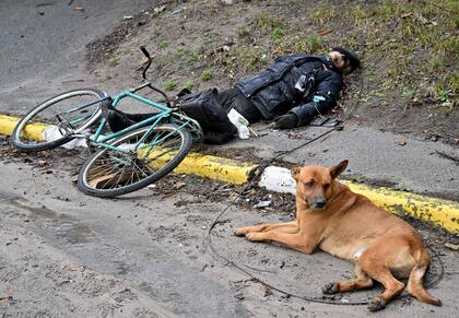 Un perro yace junto al cuerpo de un hombre, en la ciudad de Bucha, no lejos de la capital ucraniana, Kiev, el 3 de abril de 2022