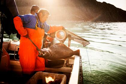Un pescador en Narsaq, Gorenlandia (Carsten Snejbjerg/The New York Times)