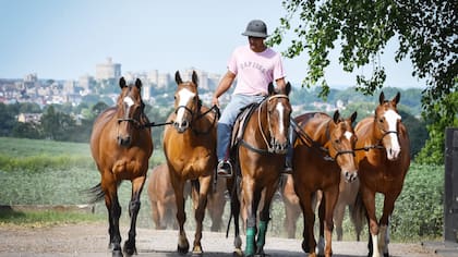 Un petisero argentino trabaja con el Castillo de Windsor de fondo