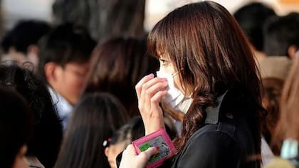 Un plan de reforestación masivo ha terminado provocando trastornos a millones de personas en Japón