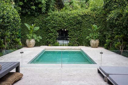 Un plano de jazmines rodea el espejo del fondo y dos maceteros grises se usaron como remate simétrico con Alocasia odora y Philodendron bipinnatifidum