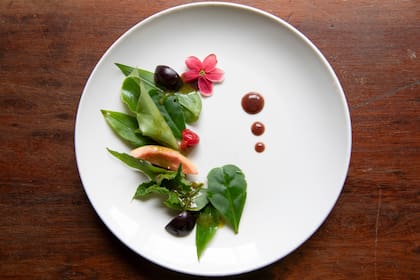 Un plato llamado Monte: yuyos, frutas nativas y flores. Jabuticaba, pitanga, guayaba y vinagre de pitanga