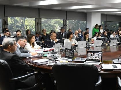 Un plenario del Consejo de la Magistratura