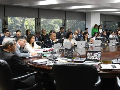 Un plenario del Consejo de la Magistratura, con el juez Horacio Rosatti al frente