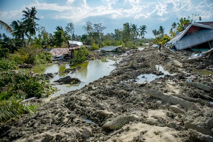 En el 2004 un descomunal terremoto de magnitud 9,1 frente a Sumatra, al oeste de Indonesia, desencadenó un brutal tsunami que provocó la muerte de 230.000 personas