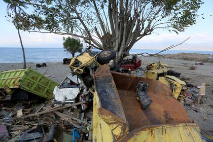 Camiones, autos y muebles atrapados en un árbol en la playa de Palu