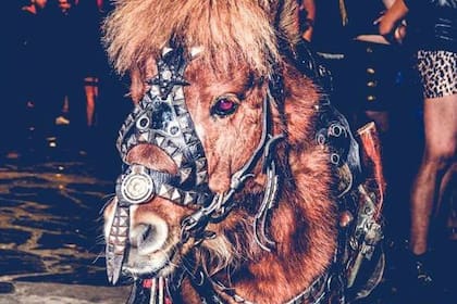 Un pony, en la puerta del boliche Go! de Banfield