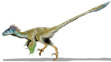 Un posible aspecto del pequeño animal que vivió hace casi 100 millones de años