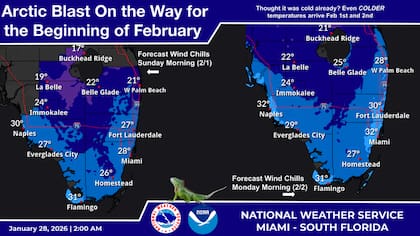 Un potente frente frío llegará a Miami el sábado por la tarde, lo que provocará que las temperaturas mínimas de la madrugada del domingo se acerquen a los 32°F (0°C) incluso en áreas urbanas costeras