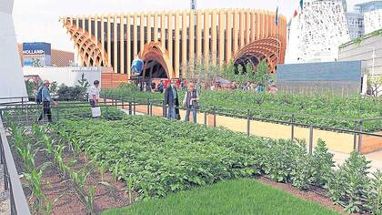 Un predio de un millón de metros cuadrados, con pabellones de 145 países que muestran sus producciones