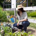 El spray casero que protege las plantas del sol fuerte y se prepara en minutos
