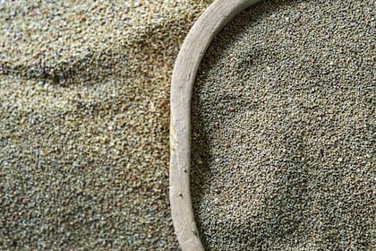 Un producto que puede beneficiar a la ganadería