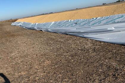 El silobolsa de Gustavo Romero fue todo en su totalidad