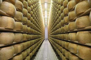 Un productor italiano de 74 años murió aplastado por 25.000 hormas de queso
