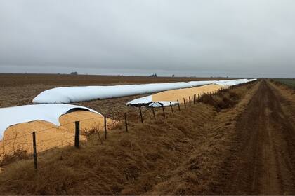 Un productor de soja de la localidad cordobesa Del Campillo fue víctima de un ataque en su campo