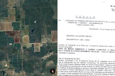 Polémica por una multa de $379 millones a un productor ganadero