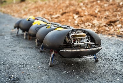 Un prototipo del robots ciempiés desmalezador para sacar yuyos de los cultivos creado por Ground Control Robotics