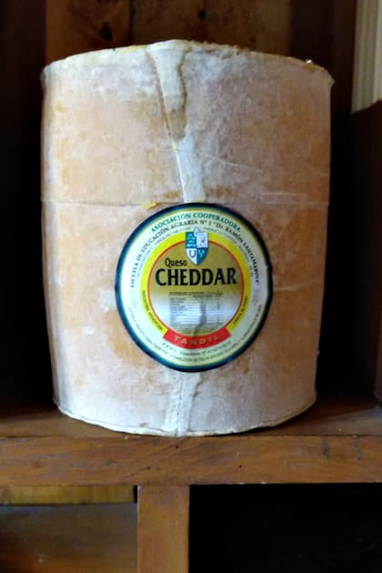 .Un queso cheddar al estilo inglés que se fabrica en Tandil