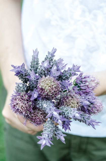 Un ramo de lavanda y otras aromáticas recién cosechadas: sus aceites esenciales, liberados al tacto o en infusión, son aliados naturales para relajar el sistema nervioso y preparar el cuerpo para un descanso profundo