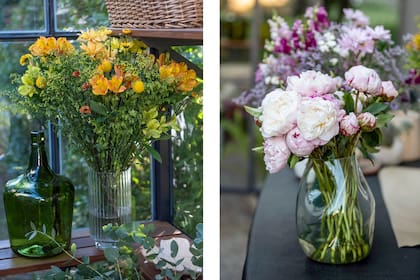 Un ramo de solidago, alstroemerias, margaritas y craspedias (izquierda) y un ramo de peonías (derecha)